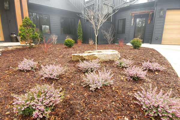 annual and perennial planting