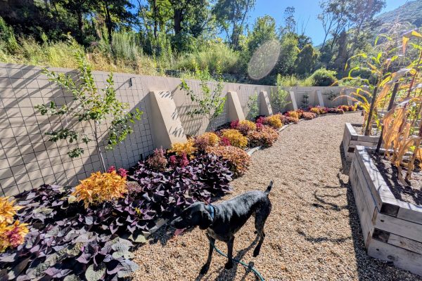 21a857ec-8abf-49b5-9507-ba21e75a2d40~1